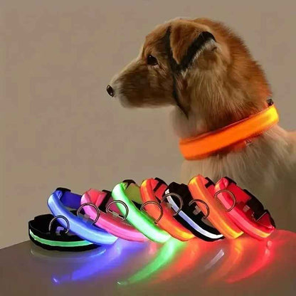 Collar LED Perro Reflectante 3 Modos - Seguridad Paseos Nocturnos