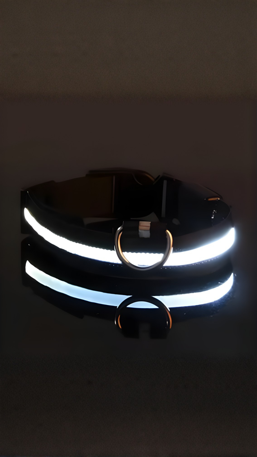 Collar LED Perro Reflectante 3 Modos - Seguridad Paseos Nocturnos