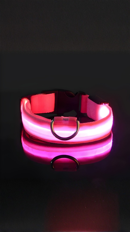 Collar LED Perro Reflectante 3 Modos - Seguridad Paseos Nocturnos