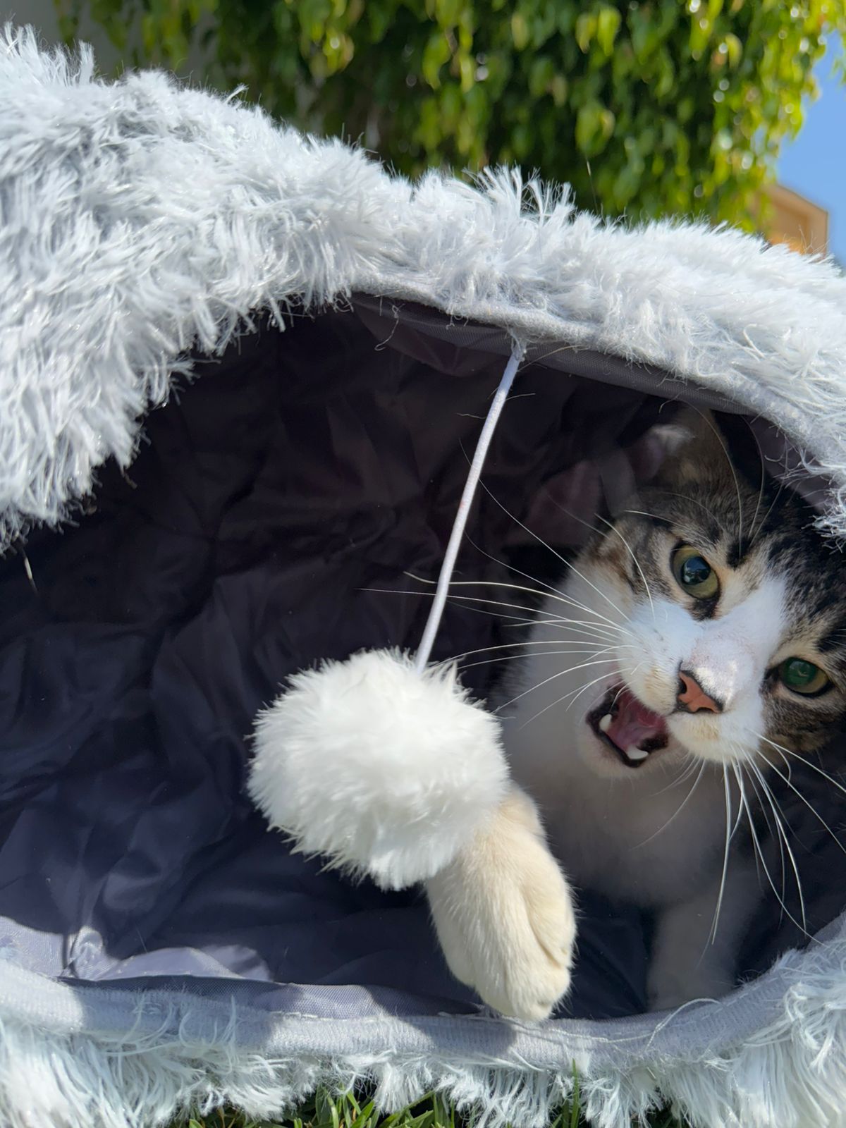 Cama Gato Túnel Donut Suave - Casa Mascotas Acogedora con Entrada