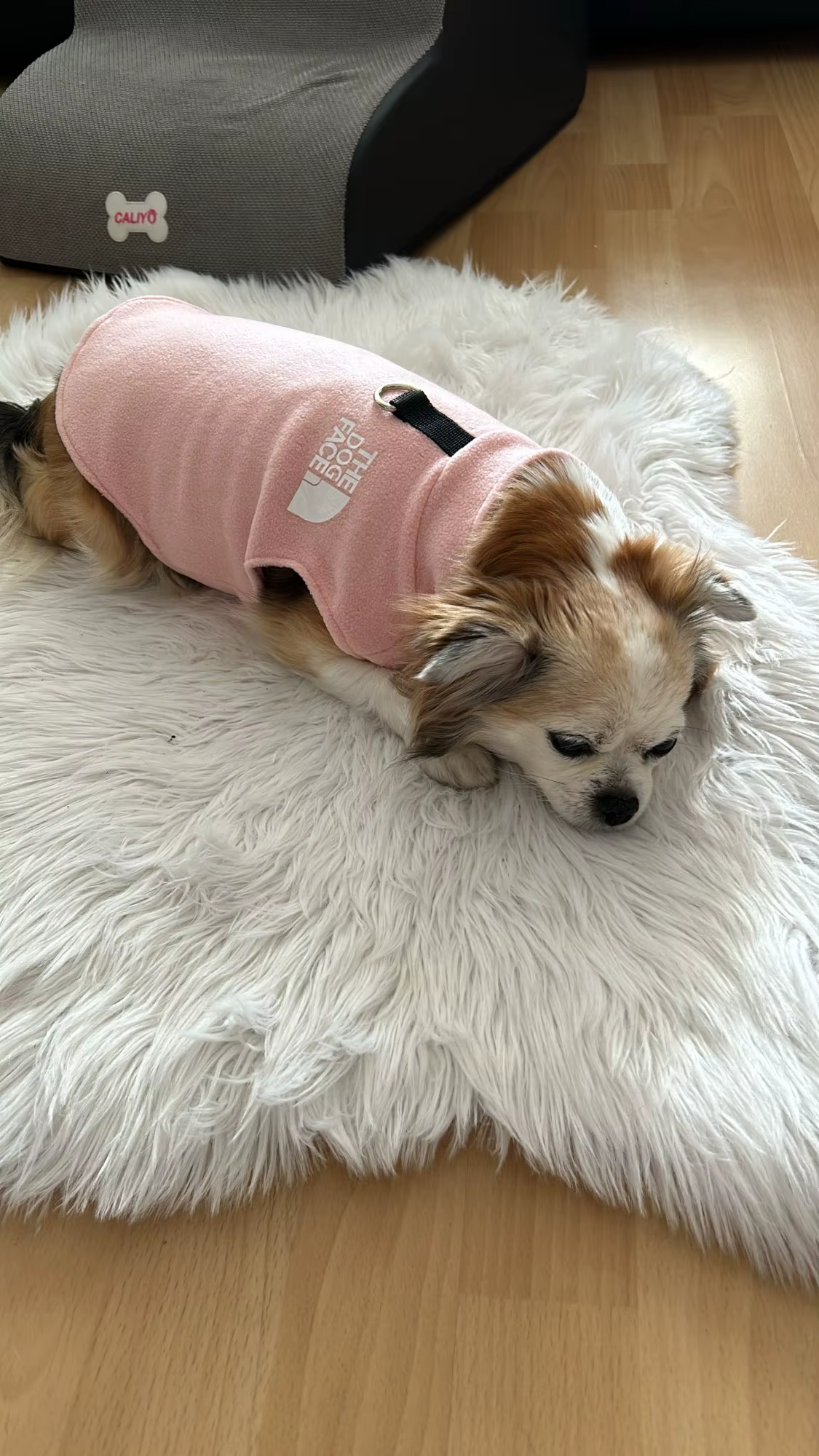 Chaleco Perro Acolchado Rosa - Ropa Mascotas Invierno Térmico