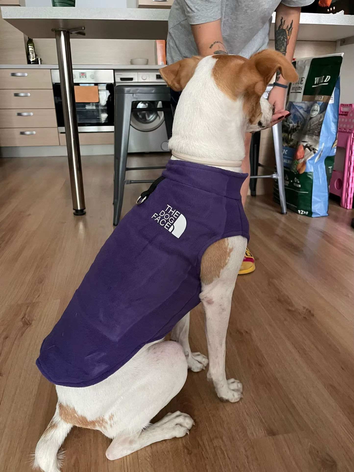Chaleco Perro Acolchado Rosa - Ropa Mascotas Invierno Térmico