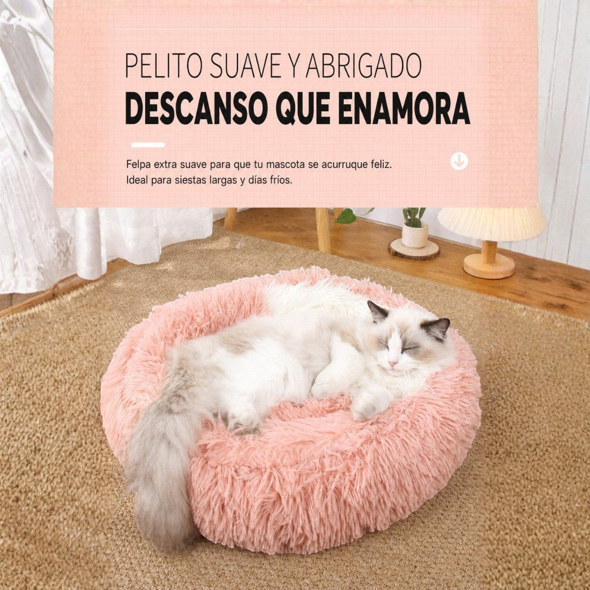 Gato durmiendo en cama redonda de felpa rosa Purrfect Cozy Beds sobre alfombra beige en habitación acogedora