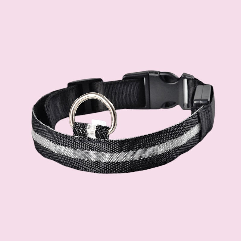 Collar LED reflectante negro de nailon para perros de Purrfect Cozy Beds con anillo metálico para paseos nocturnos