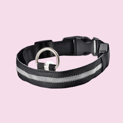Collar LED reflectante negro de nailon para perros de Purrfect Cozy Beds con anillo metálico para paseos nocturnos