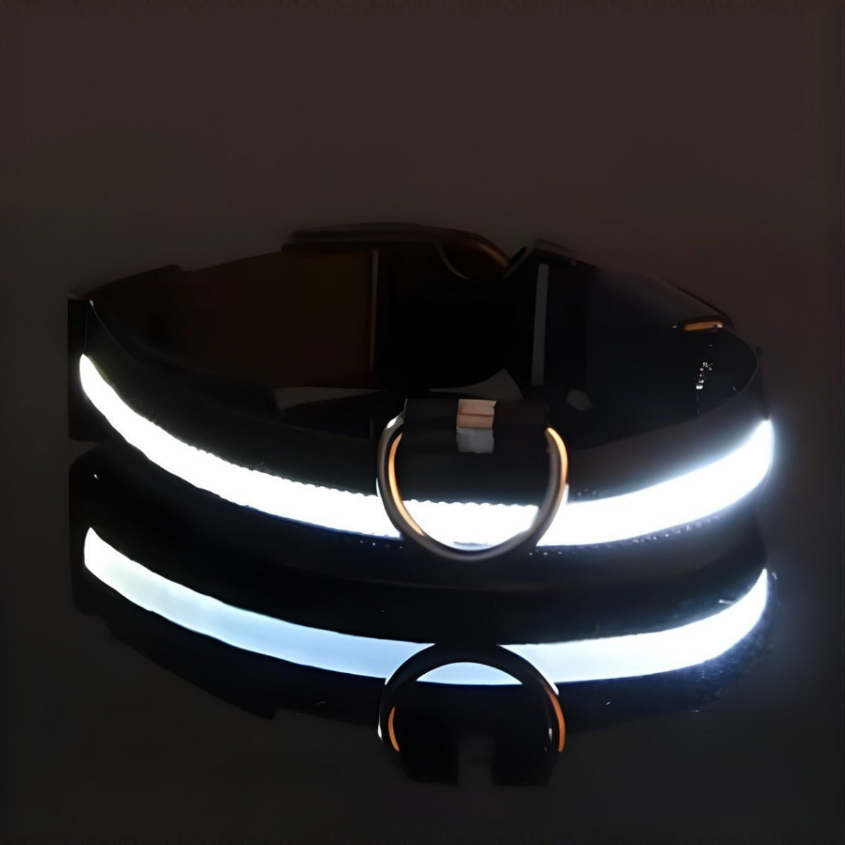 Collar LED reflectante Purrfect Cozy Beds de nailon negro con luz blanca brillante para paseos nocturnos seguros