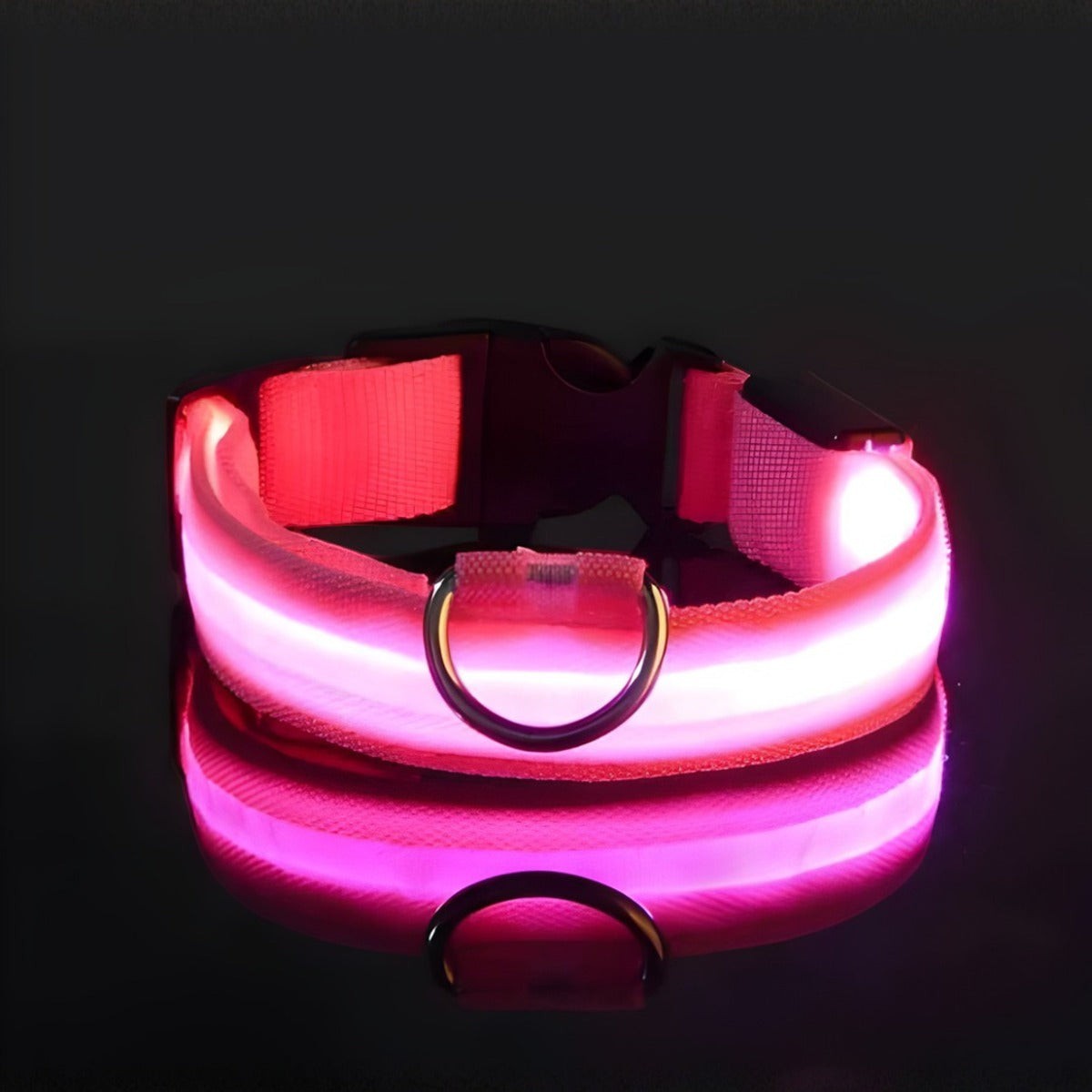 Collar LED rosa para perro de Purrfect Cozy Beds con luz brillante y hebilla de seguridad para paseos nocturnos