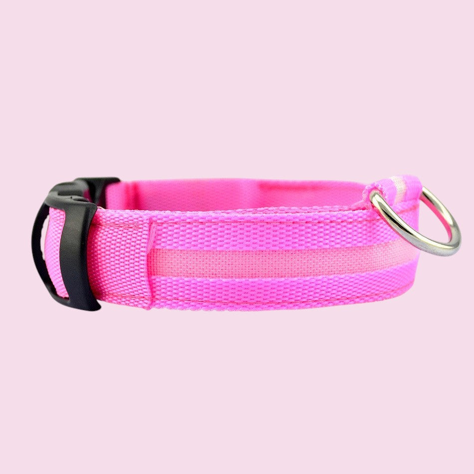Collar LED reflectante rosa de nailon para perro de Purrfect Cozy Beds con hebilla negra y anilla metálica