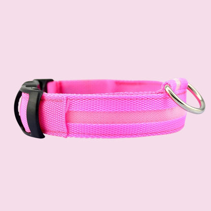 Collar LED reflectante rosa de nailon para perro de Purrfect Cozy Beds con hebilla negra y anilla metálica